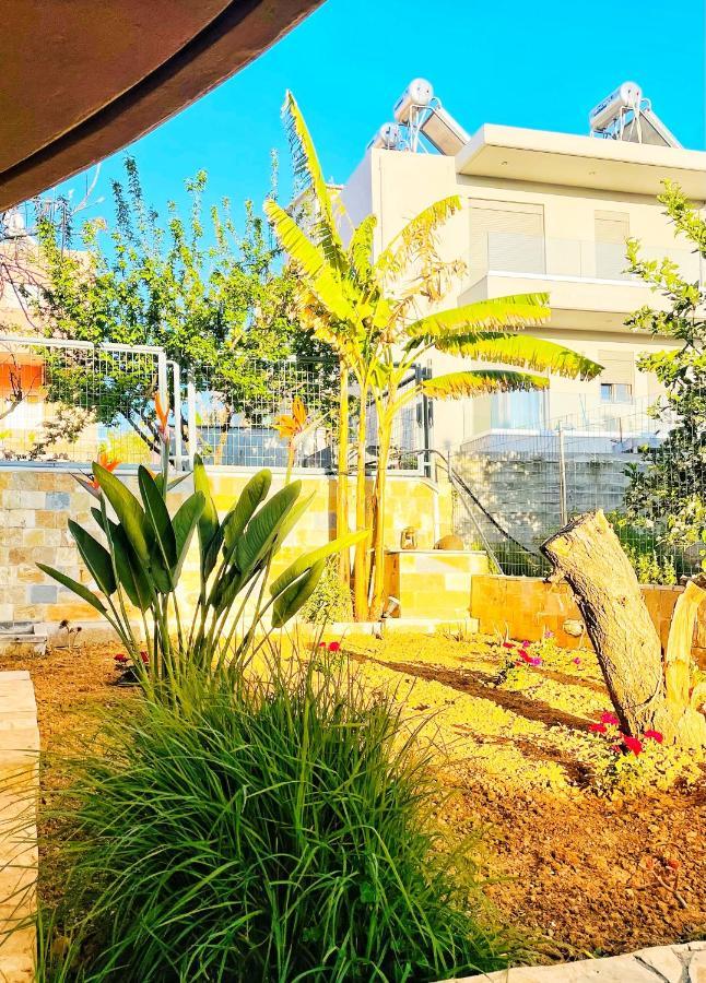 Glaros Beach Apartment 加藤-达拉特索 外观 照片